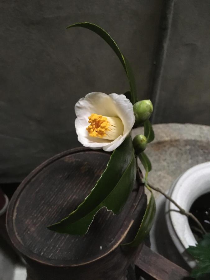 Azukiya 호텔 교토 외부 사진